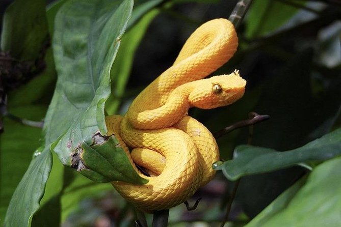 hike-in-the-gandoca-manzanillo-refuge