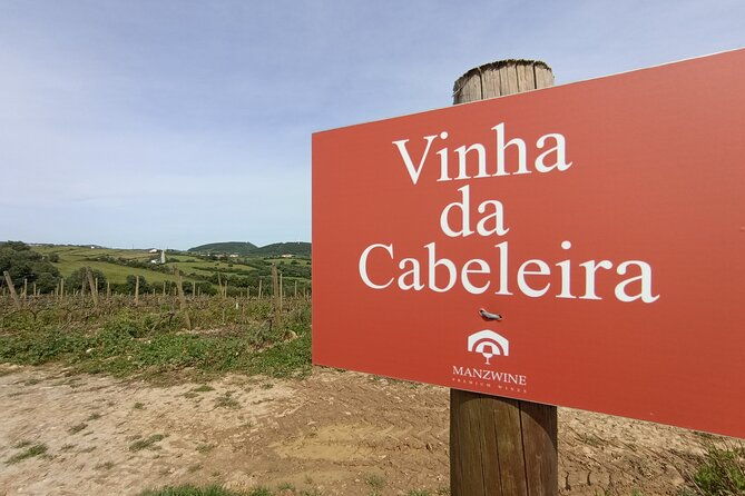 hiking-and-wine-tasting-experience