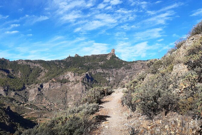 hiking-experience-in-the-north-of-gran-canaria