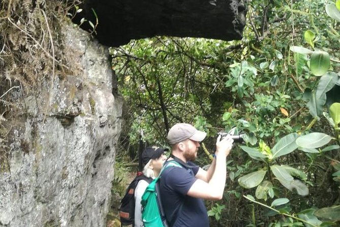 hiking-high-andean-forests