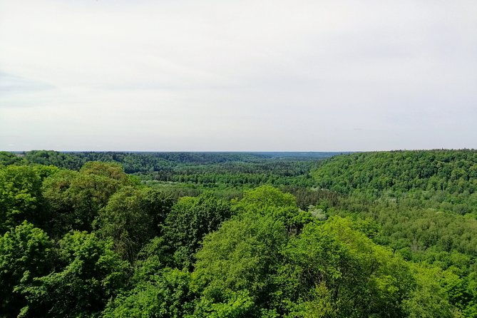 hiking-in-gauja-national-park-2