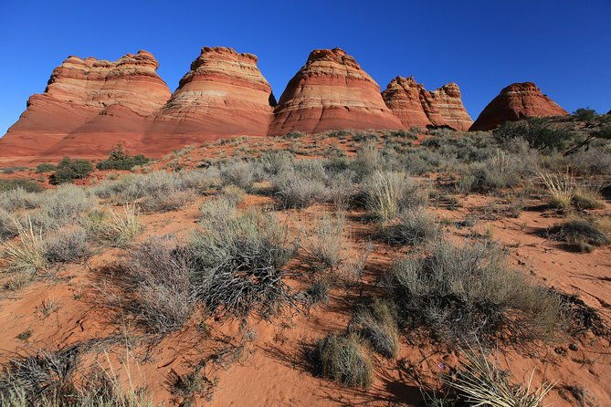 hiking-in-kanab-famous-teepees-of-vermilion-cliffs-national-monument-near-wave