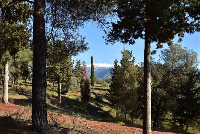 hiking-in-the-natural-park-on-the-outskirts-of-the-alhambra