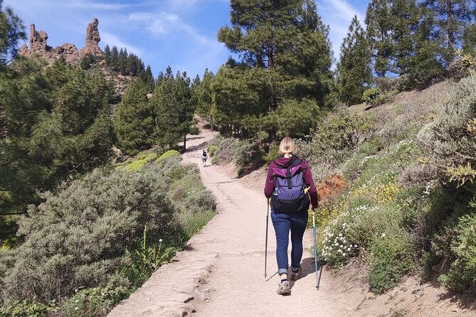 hiking-in-the-sacred-mountains-of-gran-canaria-unesco