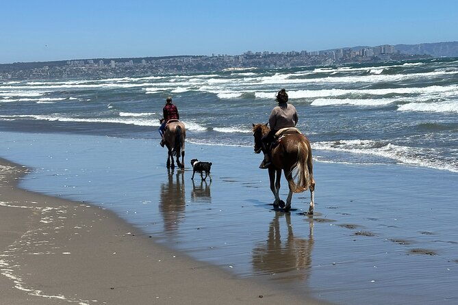 hiking-mauco-hill-horseride-ritoque-beachdunes-from-valparaiso