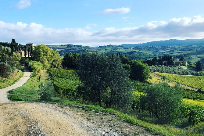 hiking-wine-tour-chianti-classico-3-organic-wineries-and-lunch