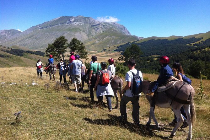 hiking-with-donkeys