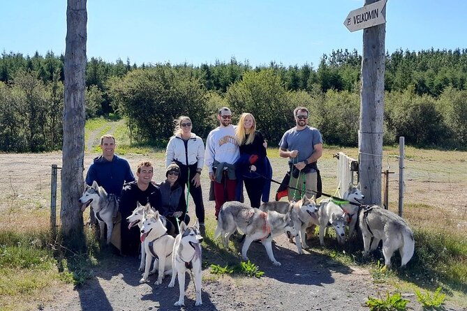 hiking-with-husky-in-akureyri-private