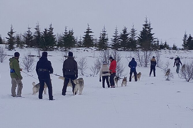 hiking-with-husky-in-akureyri