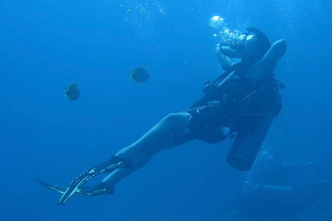 hilos-remote-tropical-reef-2-tank-boat-dive