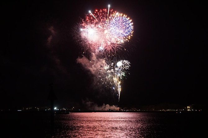 hilton-head-dolphin-watching-cruise-with-fireworks-display