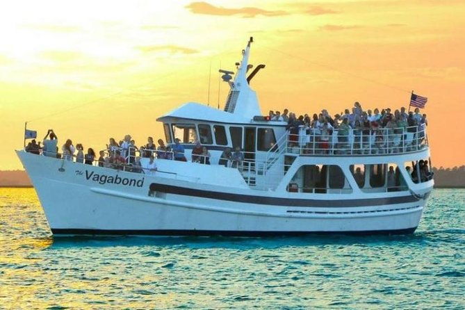 hilton-head-island-dolphin-watching-nature-cruise