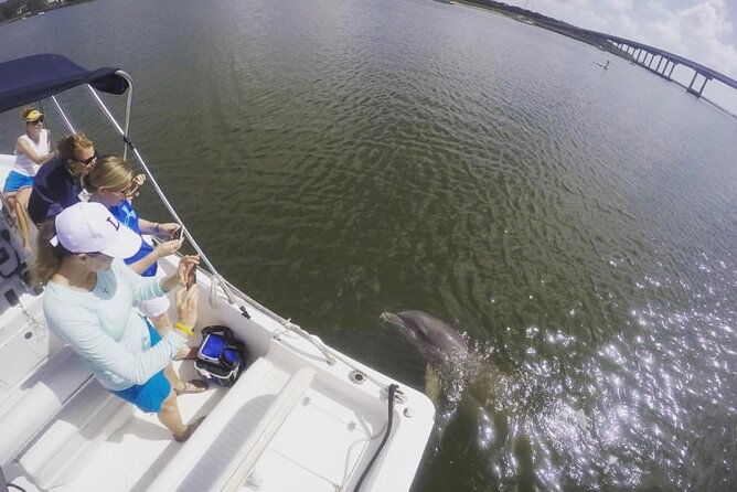 hilton-head-island-sunset-dolphin-tour