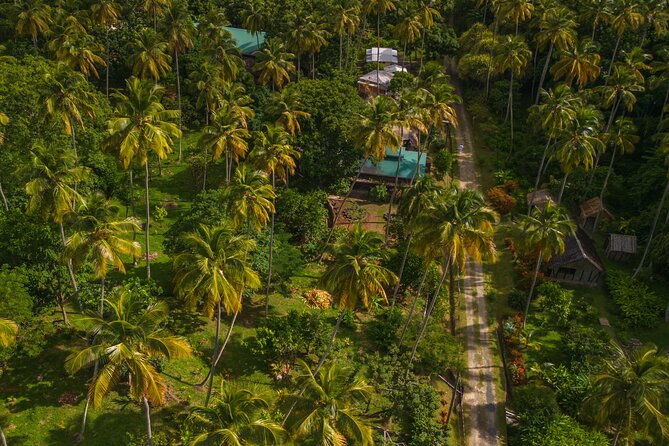 historical-18th-century-estate-tour-with-coconut-tasting