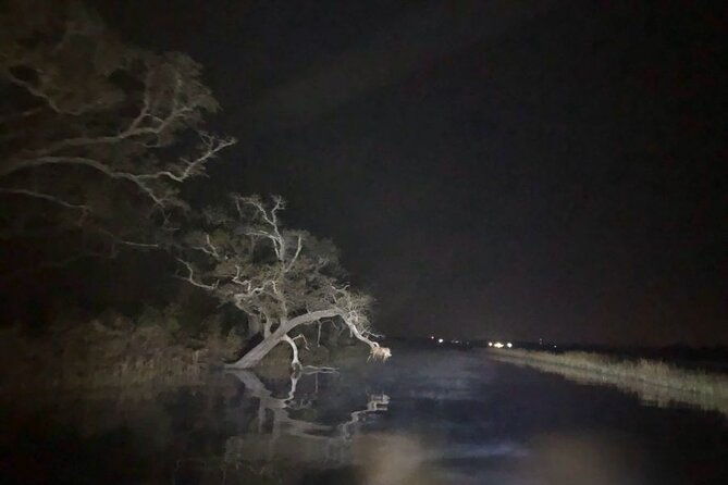 historical-haunted-bayou-cruise-2