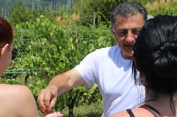 honest-wines-wine-tasting-at-cantina-biagiotti