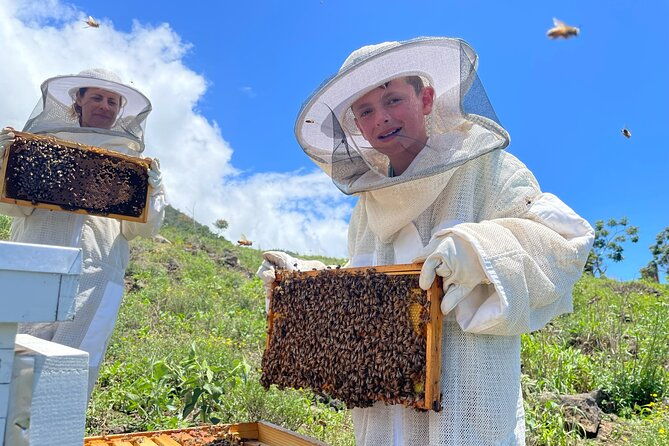 honey-bee-adventure-at-the-maui-honey-bee-sanctuary