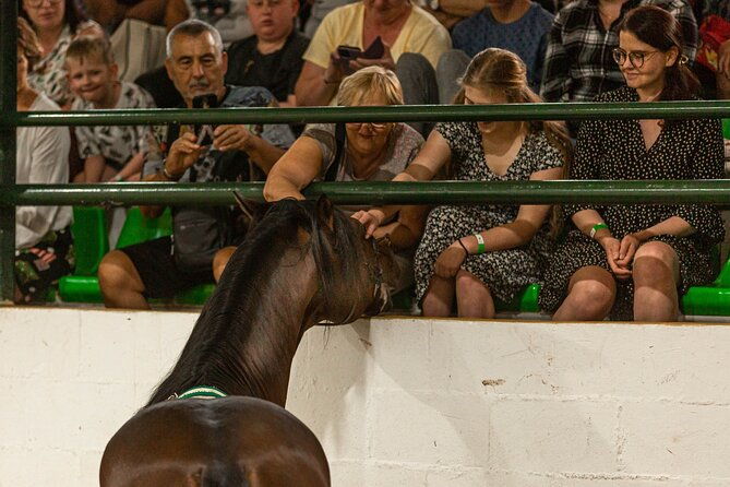 horse-and-flamenco-show-in-malaga-with-dinner-2