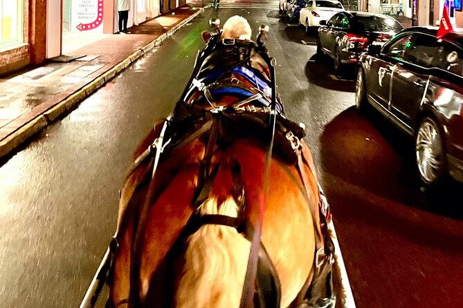 horse-drawn-ghost-and-folklore-tour-in-savannah