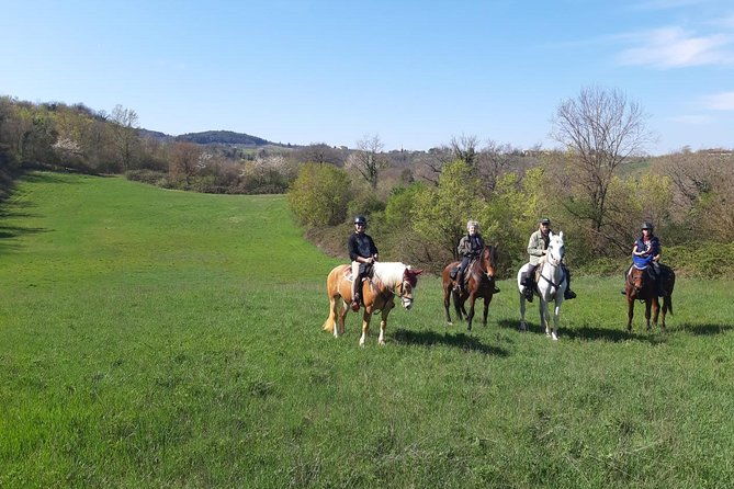 horse-ride-olive-oil-and-local-foods-tasting-in-a-tuscan-farm-2