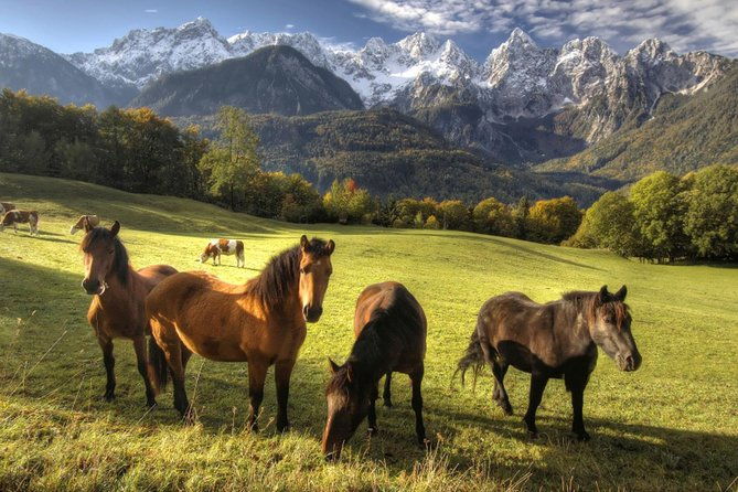 horse-riding-in-bled