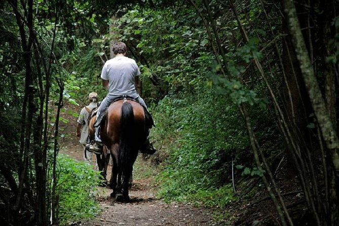 horse-riding-small-group-near-lucca