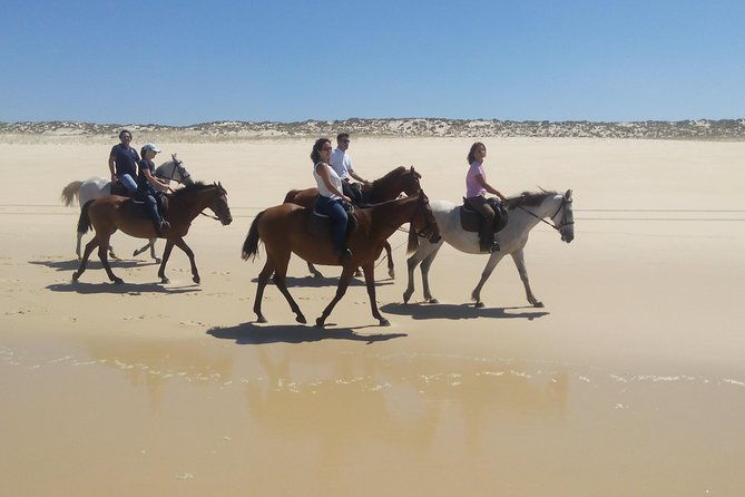horse-riding-tour-on-the-beach-lisbon-region