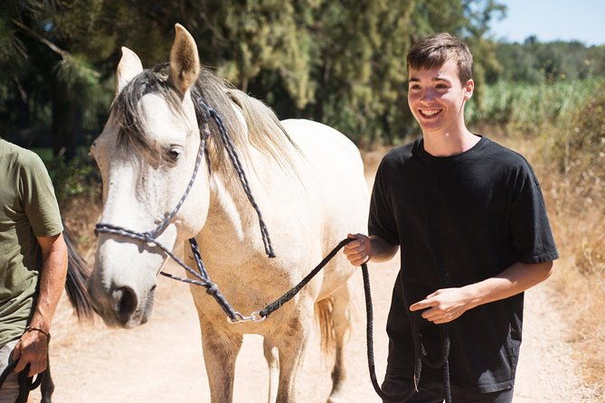 horse-sanctuary-a-nature-walk-with-rescued-horses-by-your-side