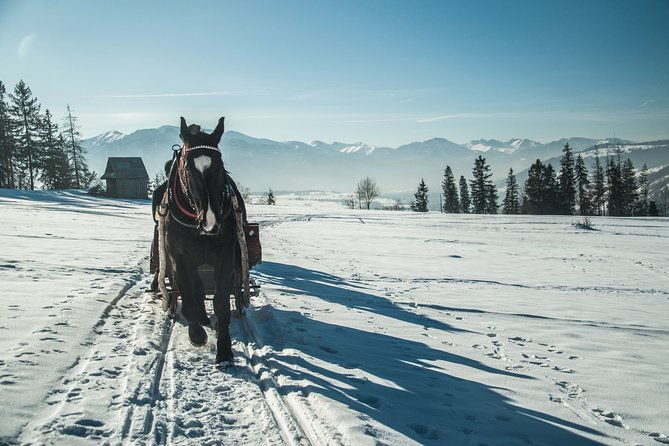 horse-sleigh-ride-in-the-polish-countryside-private-tour-from-krakow