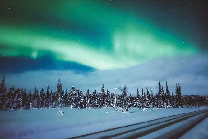 horse-sleigh-ride-under-the-night-sky-in-apukka-resort-rovaniemi