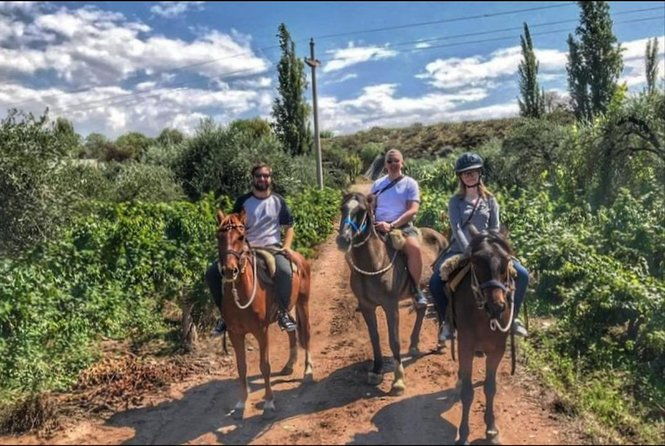 horseback-ride-through-vineyards-followed-by-gourmet-lunch-dinner