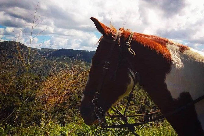 horseback-ride-to-the-forgotten-jungle-city