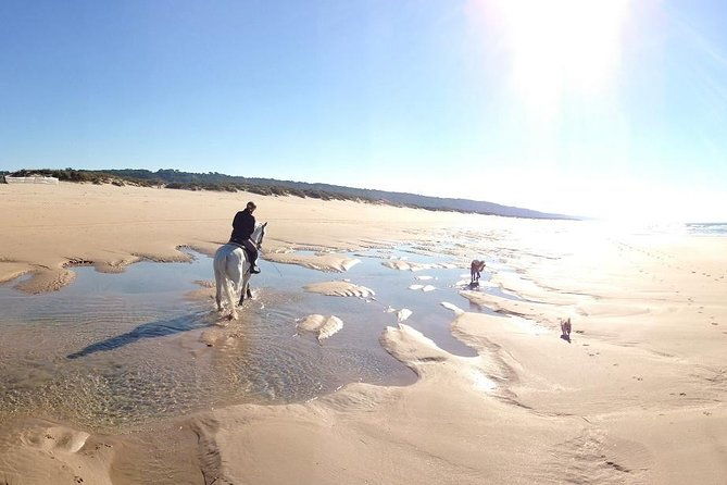 horseback-riding-4-options-mountain-lesson-ring-beach-2hours