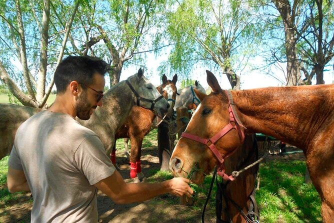 horseback-riding-adventure-with-asado-in-buenos-aires