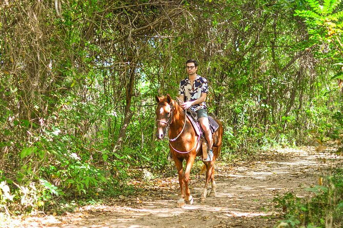 horseback-riding-along-macao-beach-with-transportation