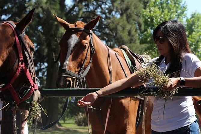 horseback-riding-and-polo-in-buenos-aires