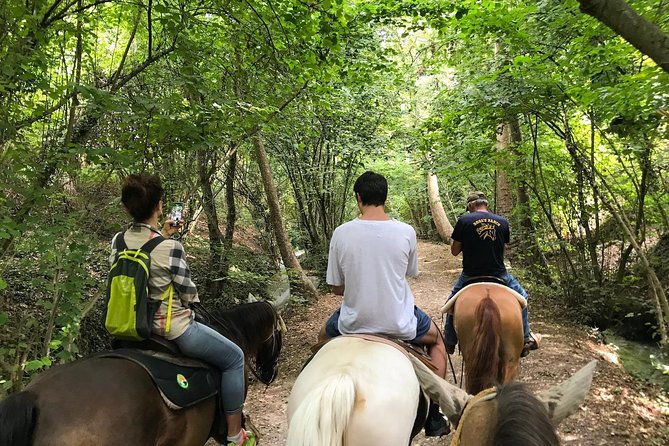 horseback-riding-and-wine-tasting