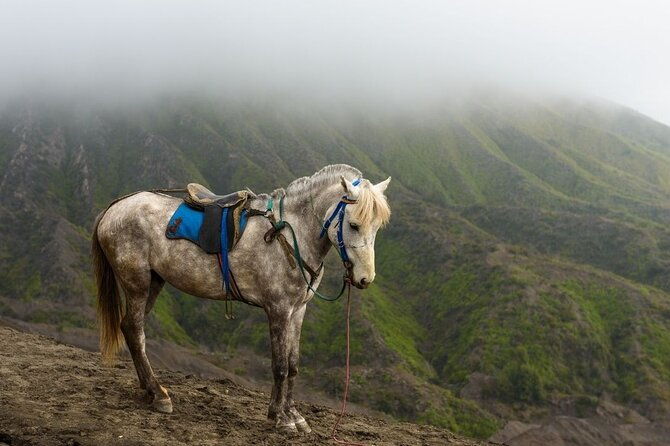 horseback-riding-at-arenal-volcano-foothills