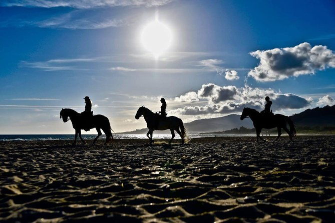 horseback-riding-by-the-beach-or-mountain-in-tarifa-spain-1-to-2-hrs