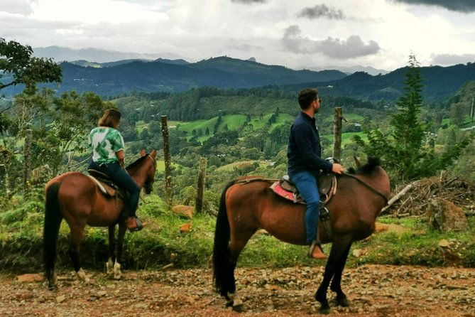 horseback-riding-in-medellin-private-tour-great-views-horses