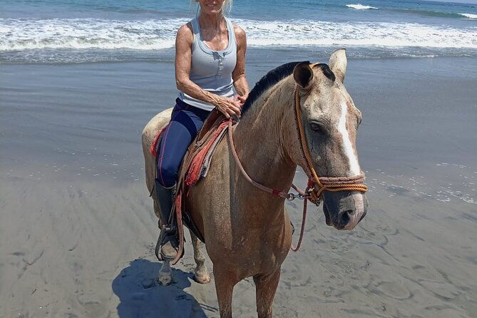 horseback-riding-on-the-beach-and-trails-2-hours