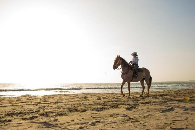 horseback-riding-on-the-beach-with-colombian-paso-show-cartagena