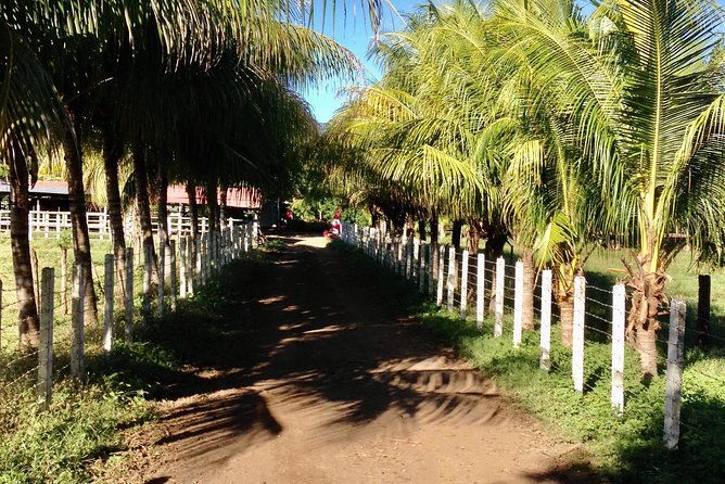 horseback-riding-private-tour