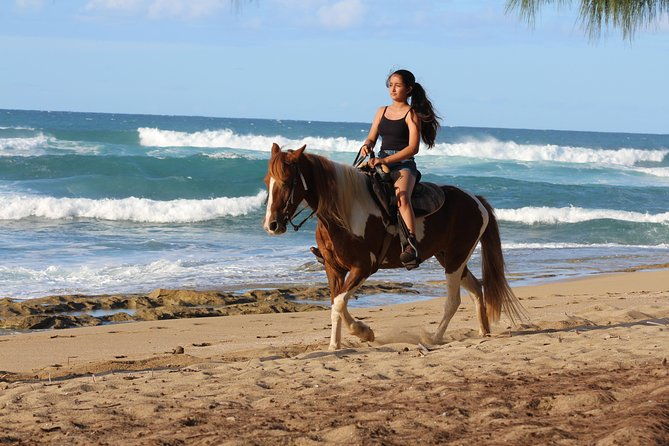 horseback-riding-through-secluded-beaches-and-tropical-forests