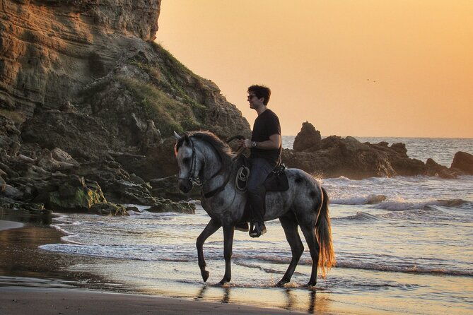 horseback-riding-tour-in-a-colombian-paso-fino-horse