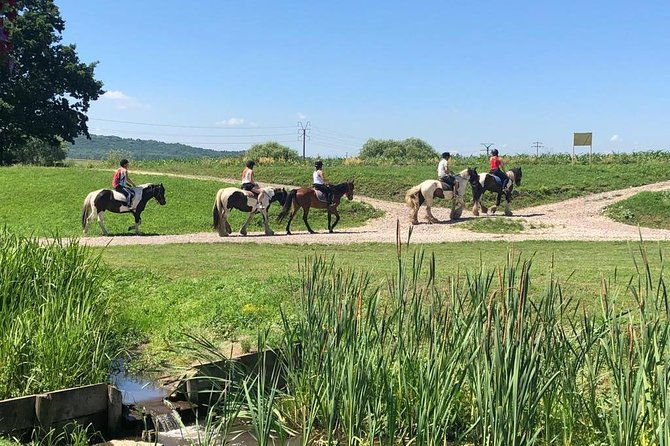 horseback-riding-tour-in-brasov-ride-through-fields-forests-hills