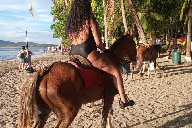 horseback-riding-tours-on-the-beach-mountain