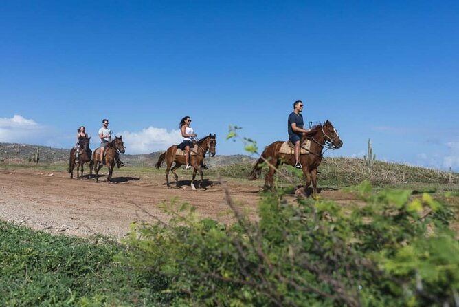 horseback-riding-wariruri-beach-tour-in-aruba