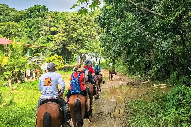 horseback-riding-west-end-choco-factory-west-bay-day-pass-paradise-beach