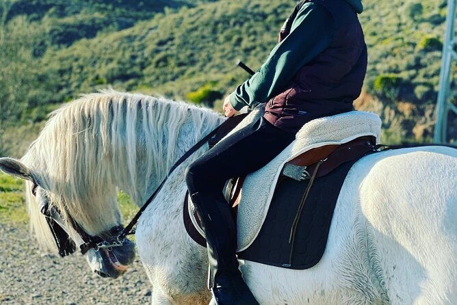 horseback-riding-with-certified-guide